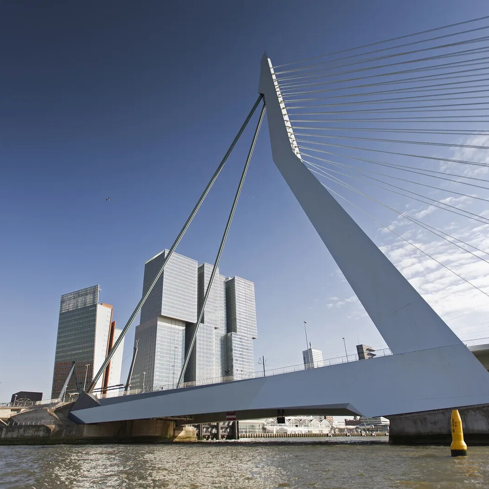 Erasmusbrug onderaanzicht 2014 Claire Droppert