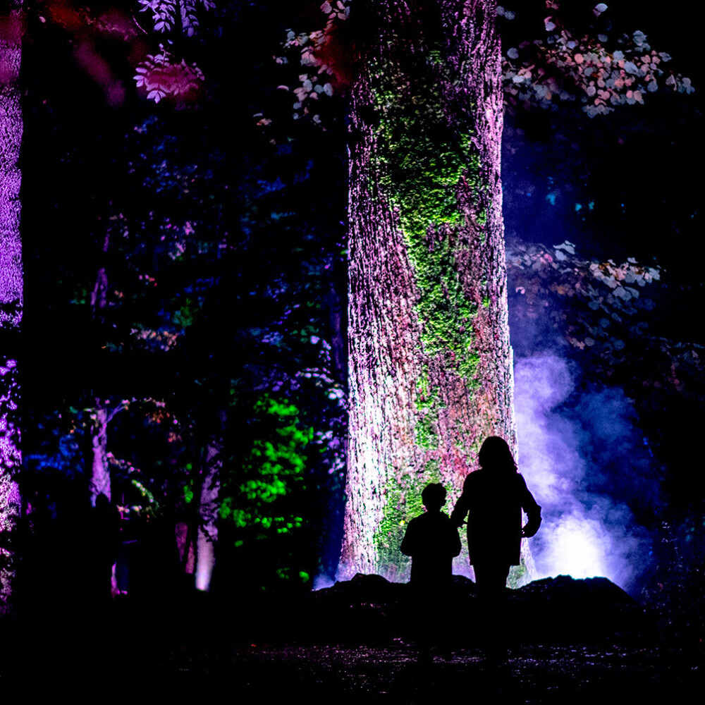 De Grote Schijn 2019 22 Andreas Terlaak