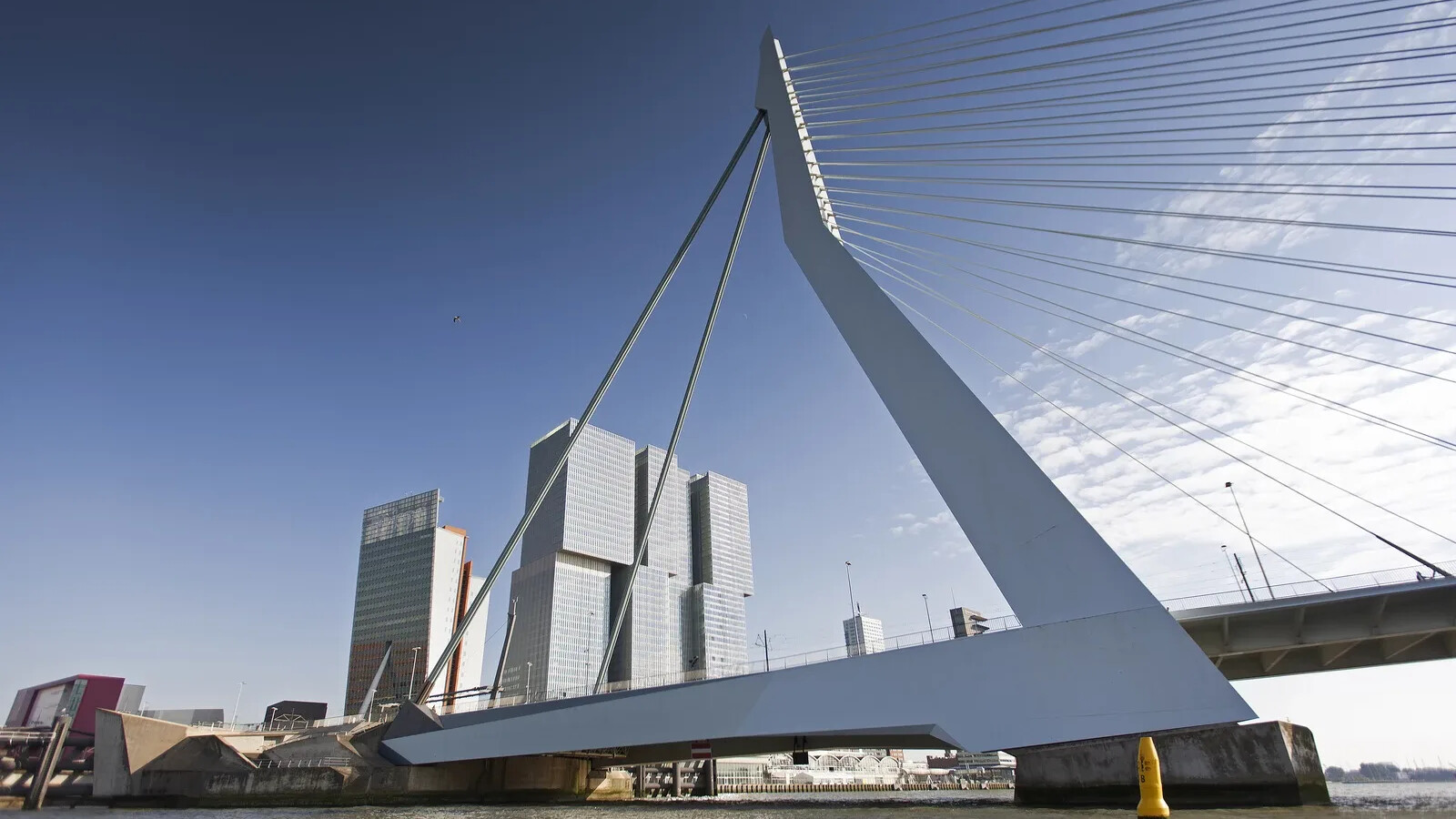 Erasmusbrug onderaanzicht 2014 Claire Droppert