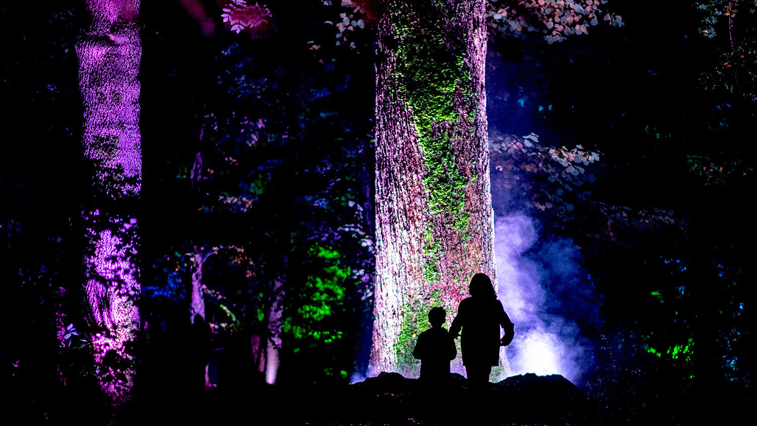 De Grote Schijn 2019 22 Andreas Terlaak
