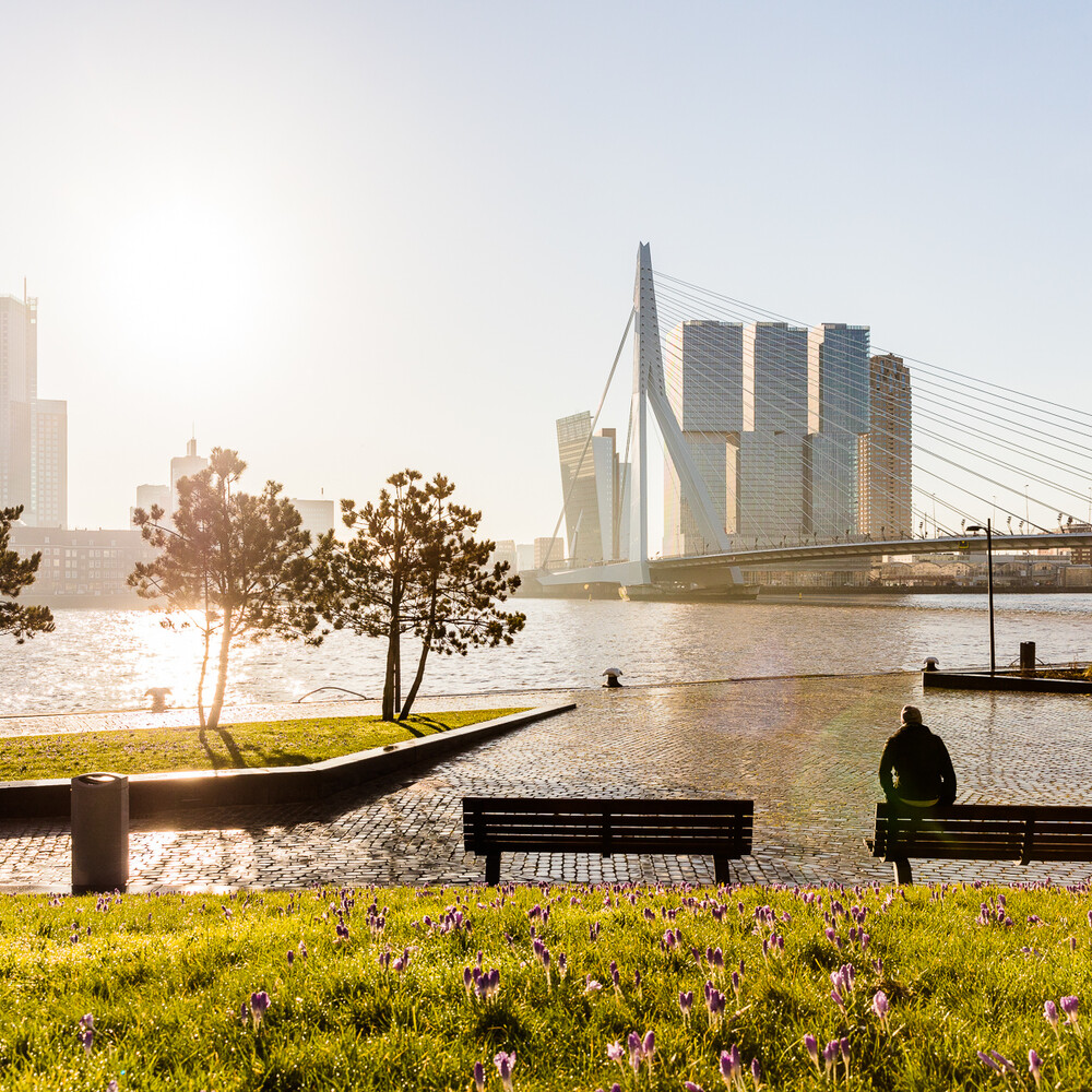 Erasmusbrug afstand 2 2019 ️ Guido Pijper