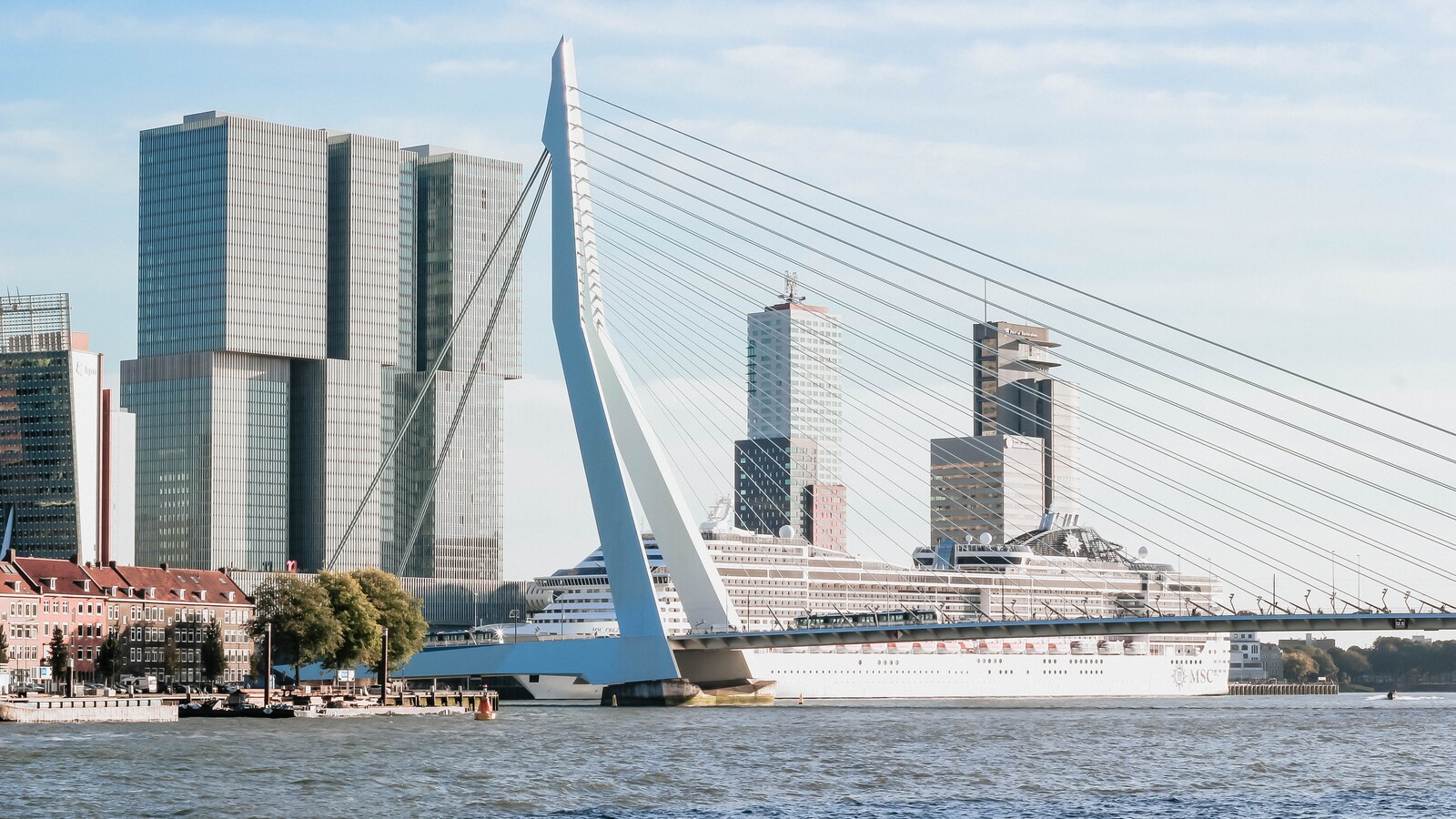 Erasmusbrug afstand ️ Micheile Henderson