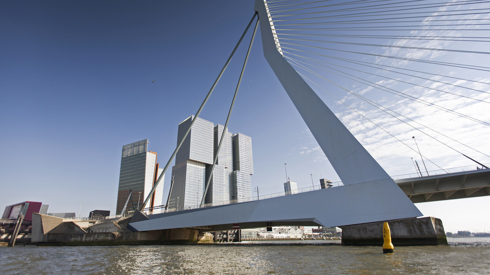 Erasmusbrug onderaanzicht 2014 ️ Claire Droppert