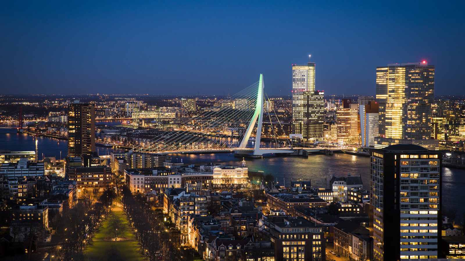 Rotterdam in de nacht erasmusbrug Guido Pijper