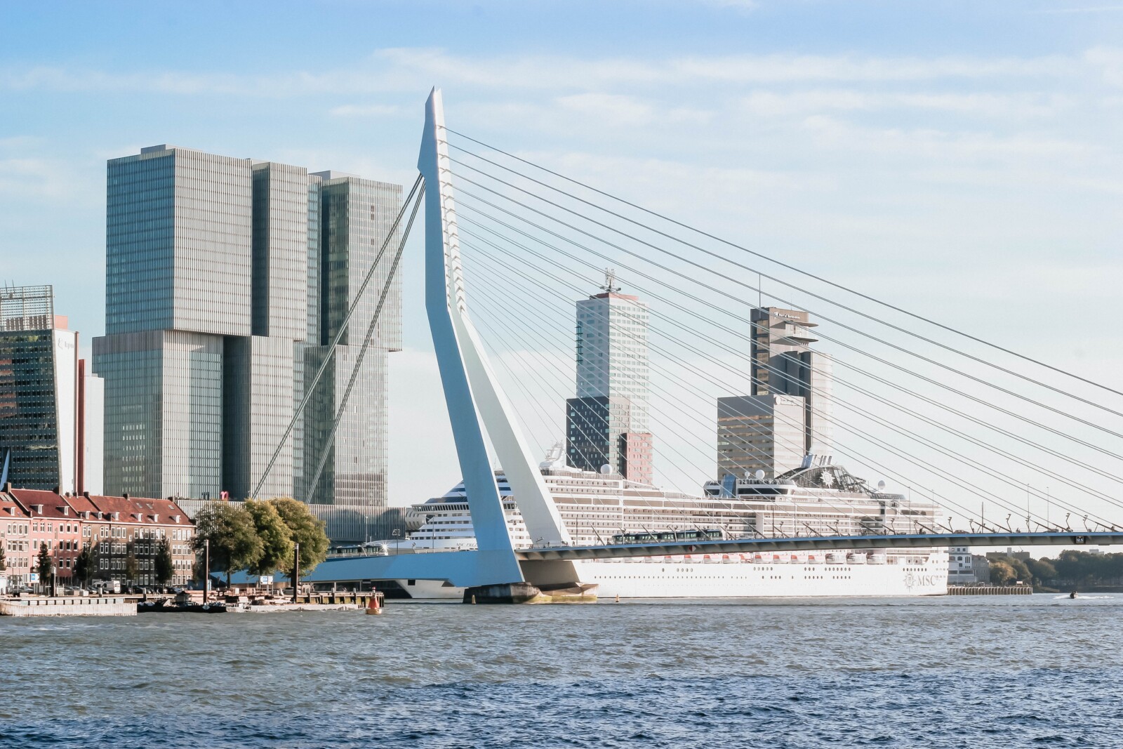 Erasmusbrug afstand ️ Micheile Henderson