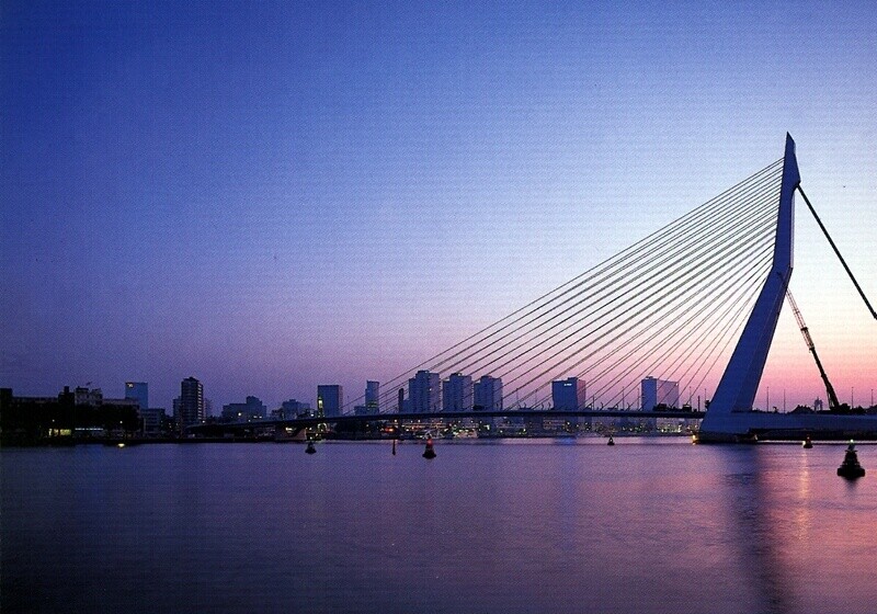 Erasmusbrug at night