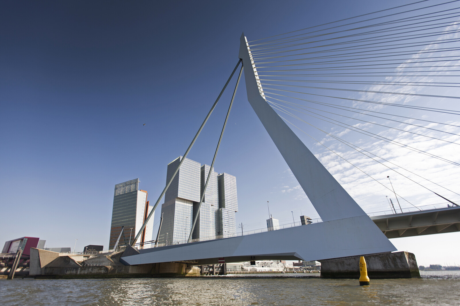 Erasmusbrug onderaanzicht 2014 ️ Claire Droppert