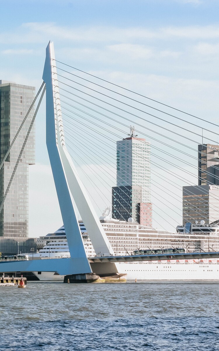 Erasmusbrug afstand ️ Micheile Henderson