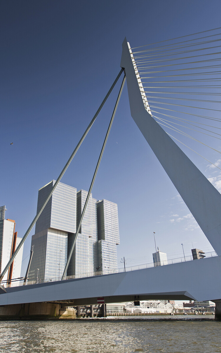 Erasmusbrug onderaanzicht 2014 ️ Claire Droppert