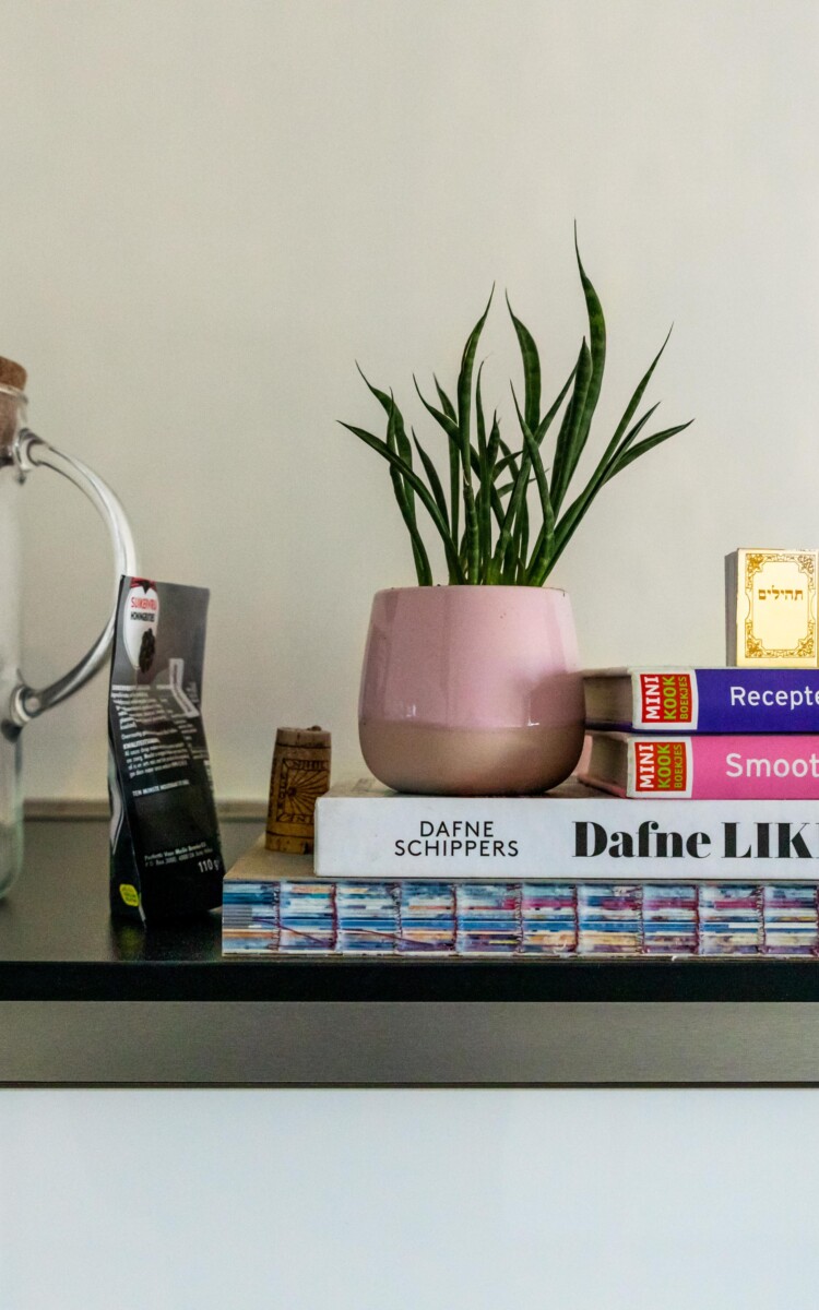 RCD home tour Dana 2