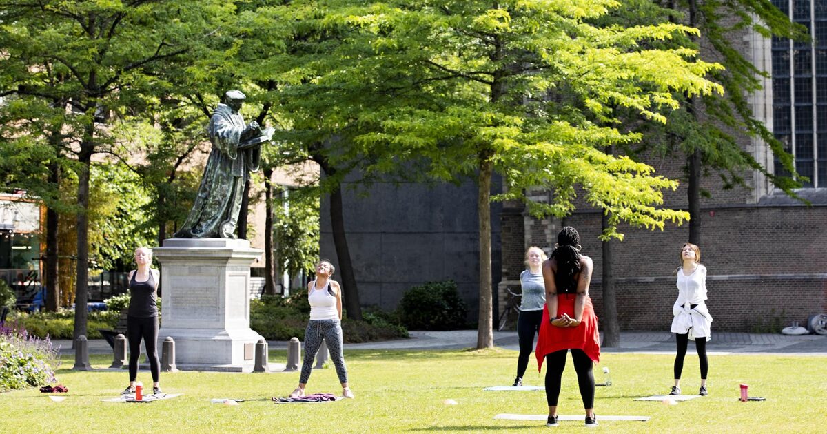 Het Park with mature trees and gardens