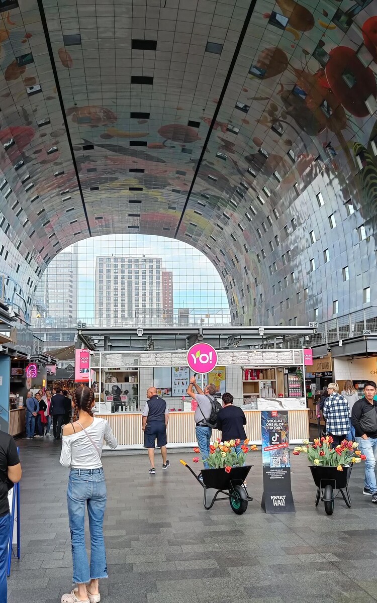 From Cruise terminal to Rotterdam Centre | #RotterdamCentrum