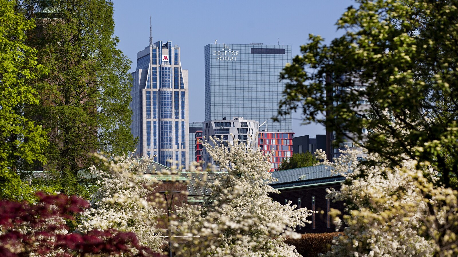 Skyline Rotterdam 2019 ️ Iris van den Broek
