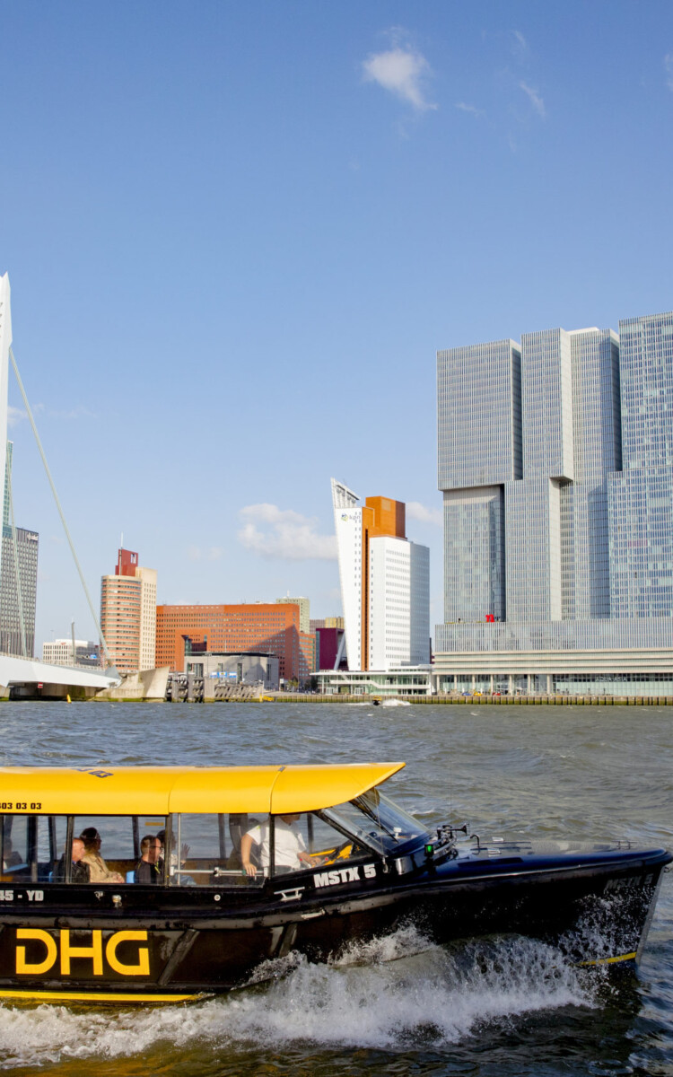 Skyline 558 A4693 Iris van den Broek scaled