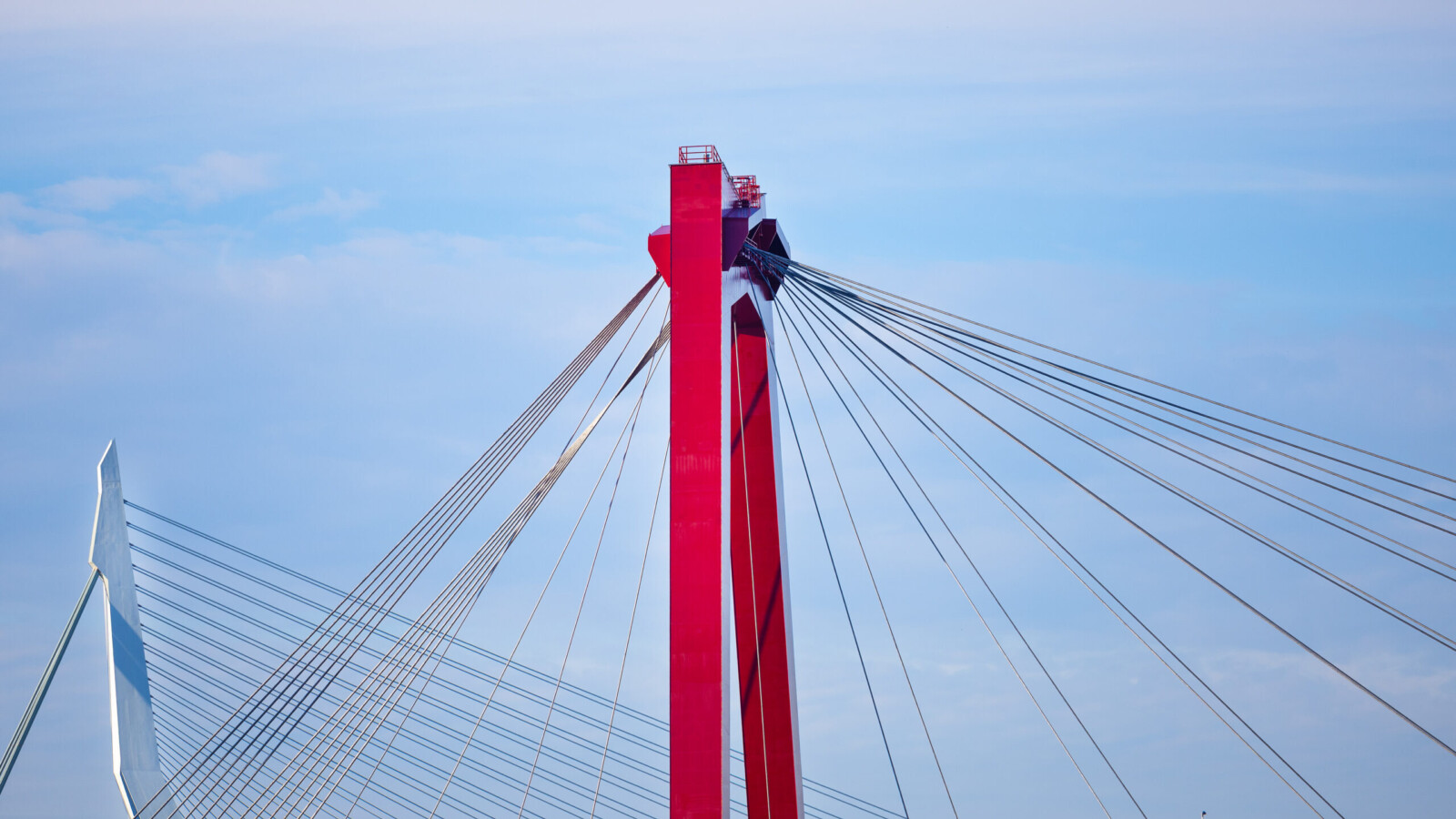 Erasmusbrug Willemsbrug Iris van den Broek 023 A0594 scaled