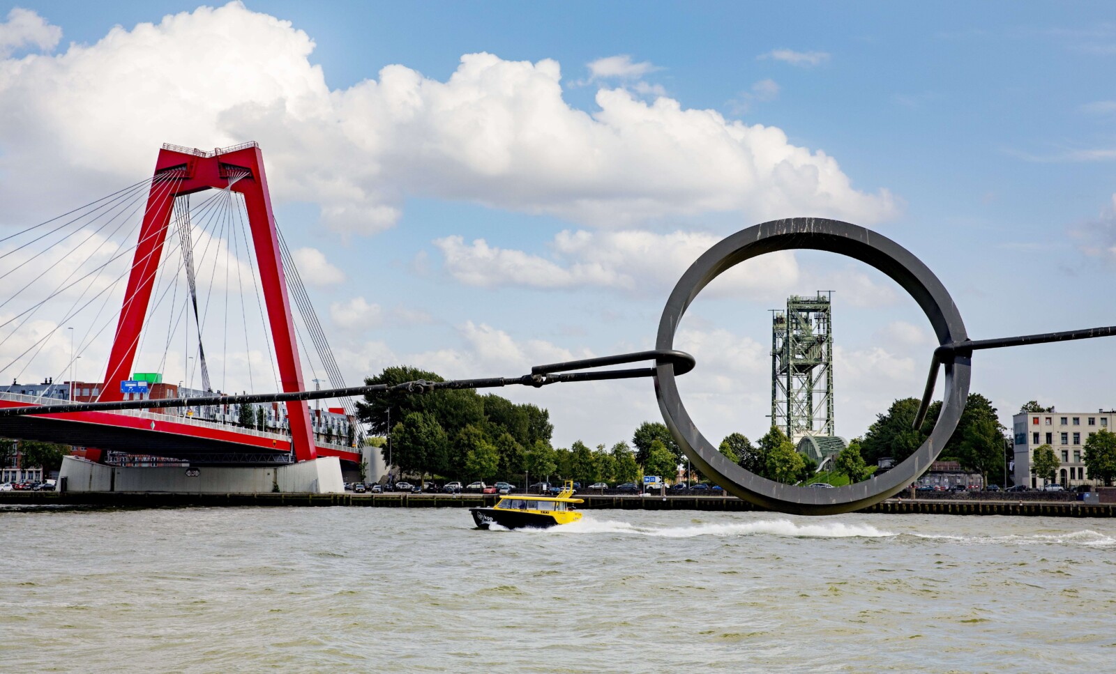 201908 Willemsburg 558 A4460 Irisvanden Broek min