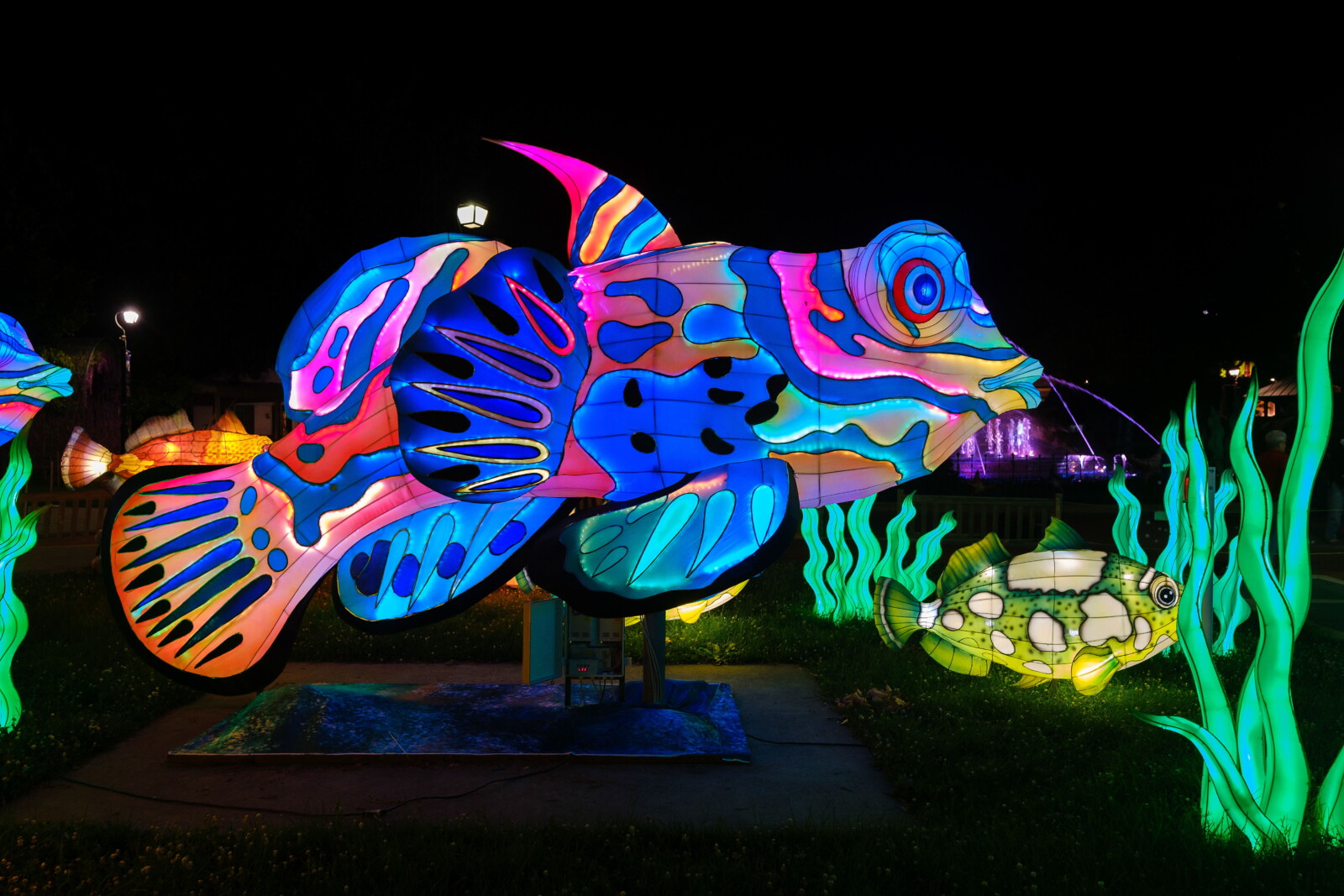 Lichtbeeld Lichtstoet 1