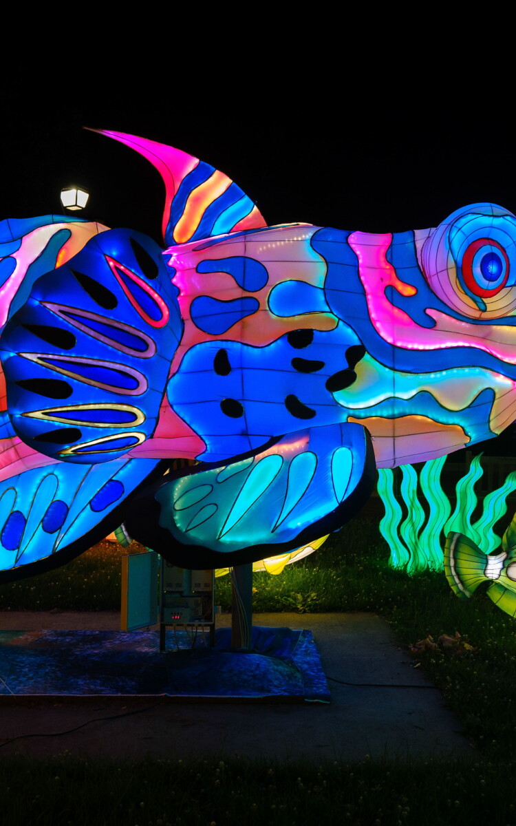 Lichtbeeld Lichtstoet 1