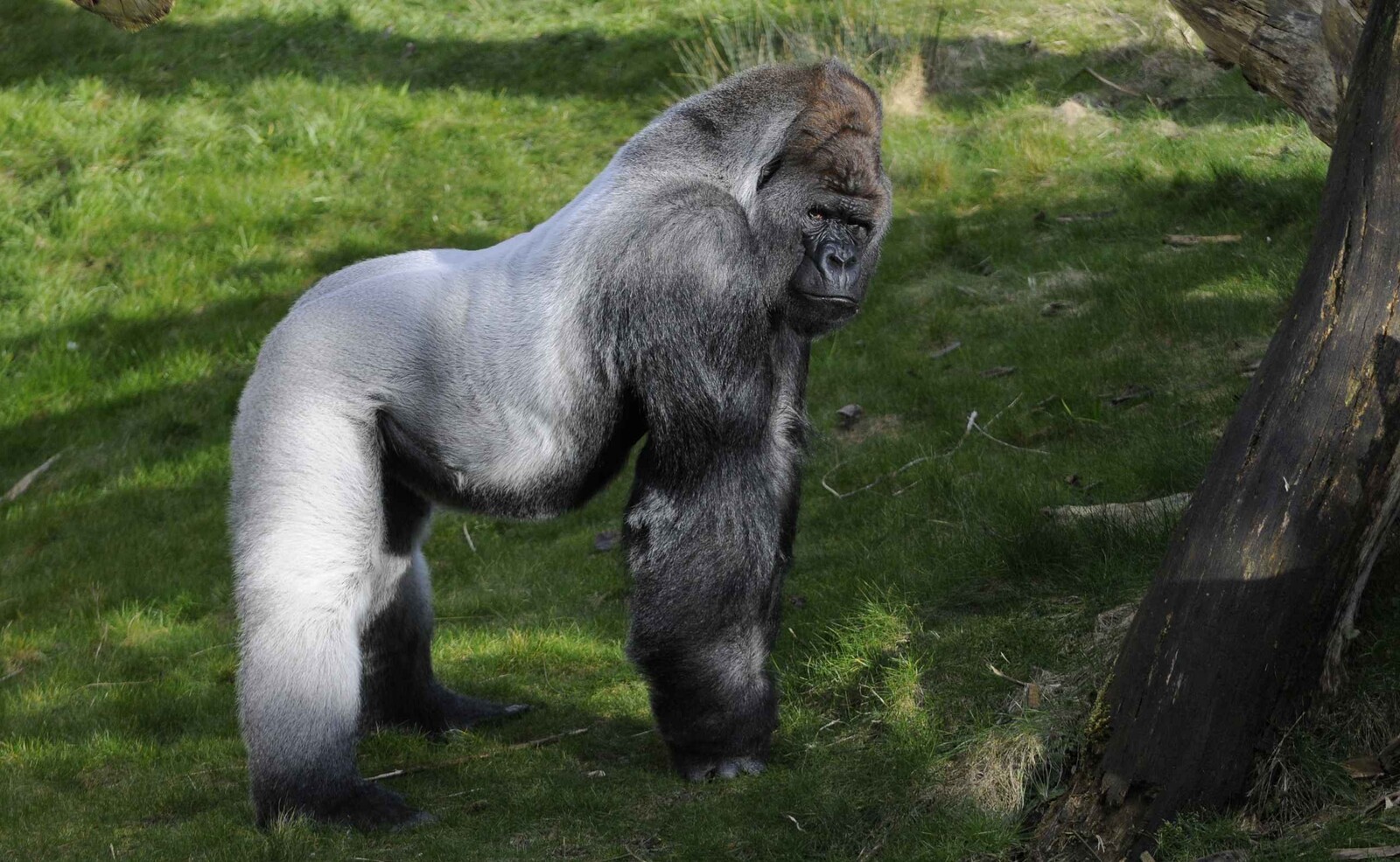 Diergaarde Blijdorp