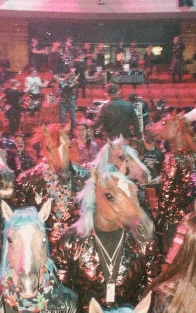 Paardenrave in nieuwe luxor Rotterdam