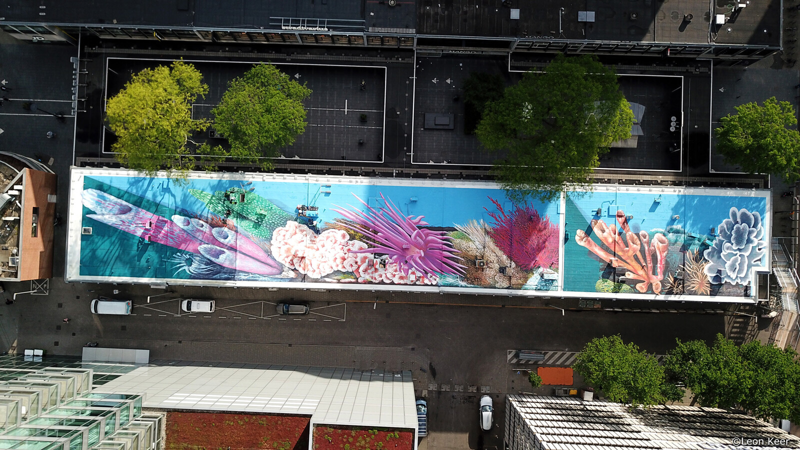 Drone leonkeer dakendagen rooftop painting schildering streetart rotterdam