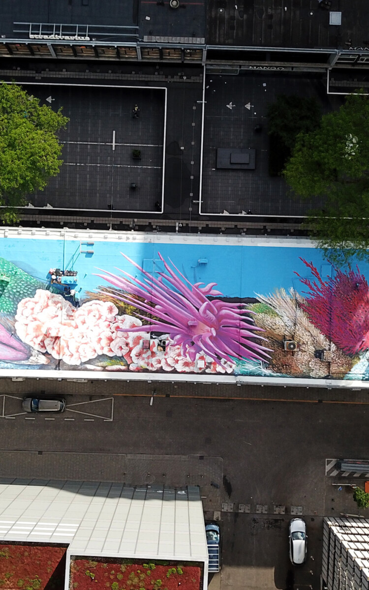 Drone leonkeer dakendagen rooftop painting schildering streetart rotterdam