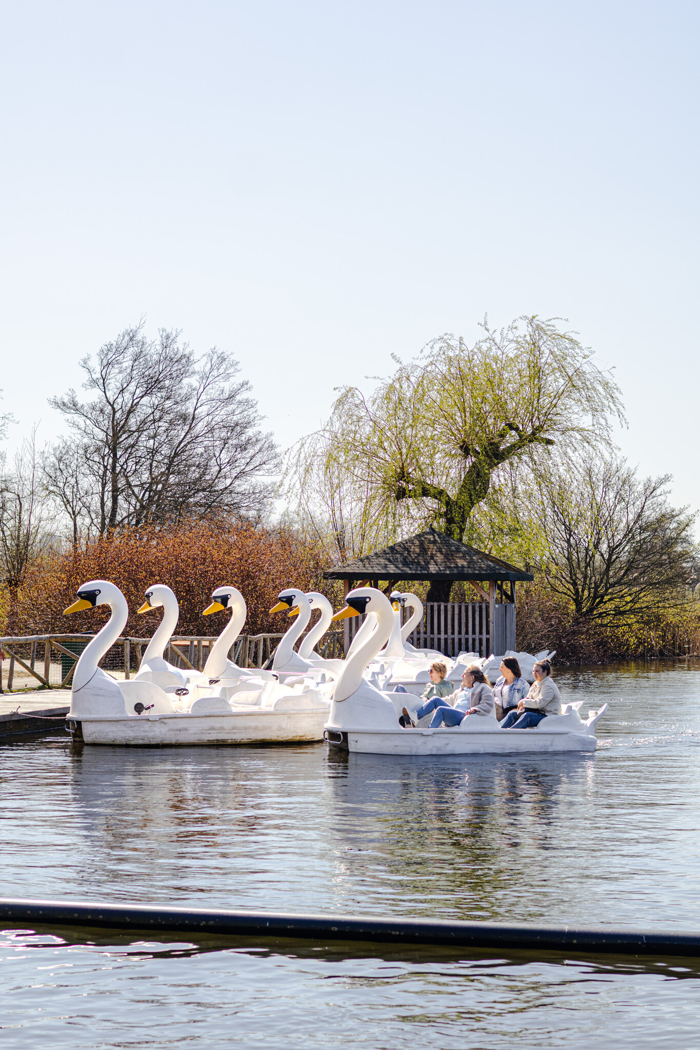 Plaswijckpark waterfiets