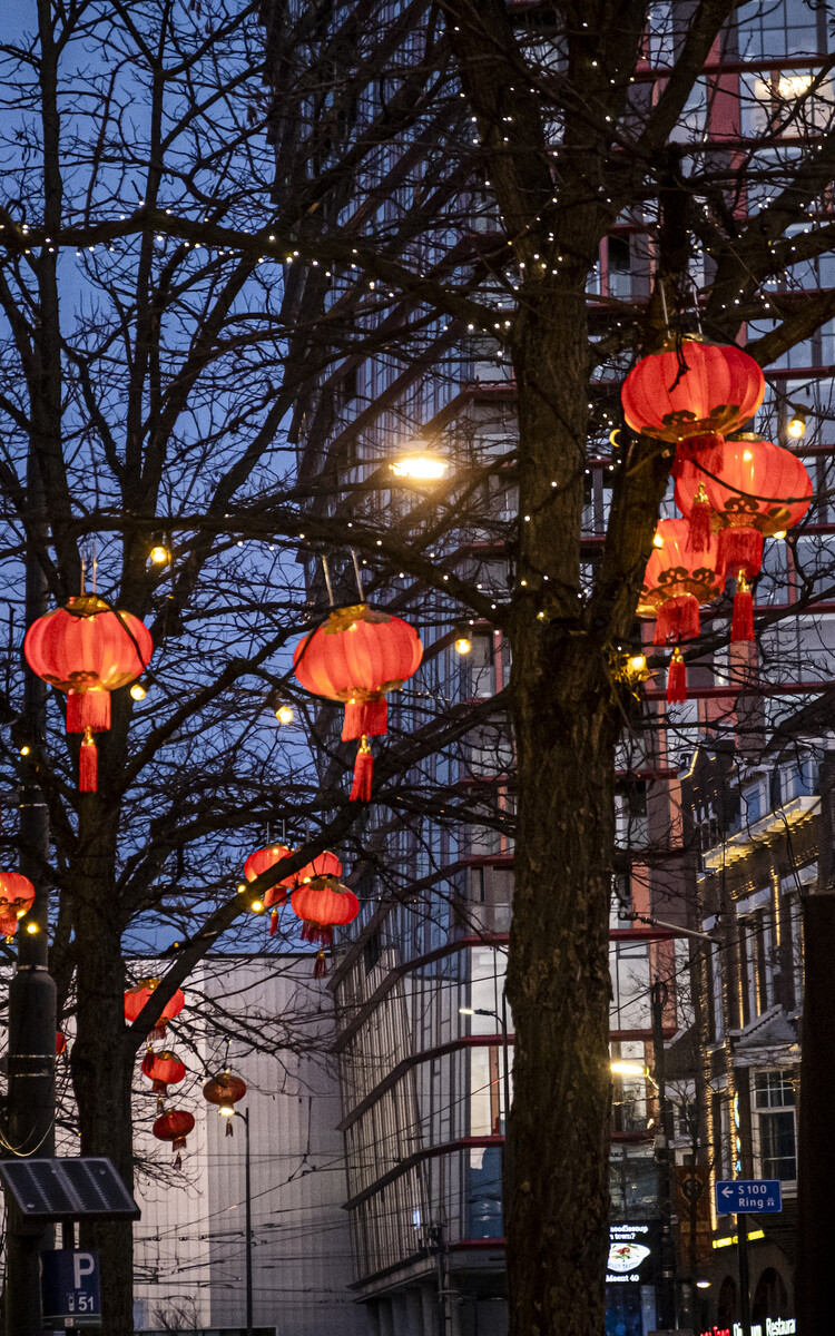 Rotterdam Chinees Nieuwjaar 2021 Foto Lennaert Ruinen 15
