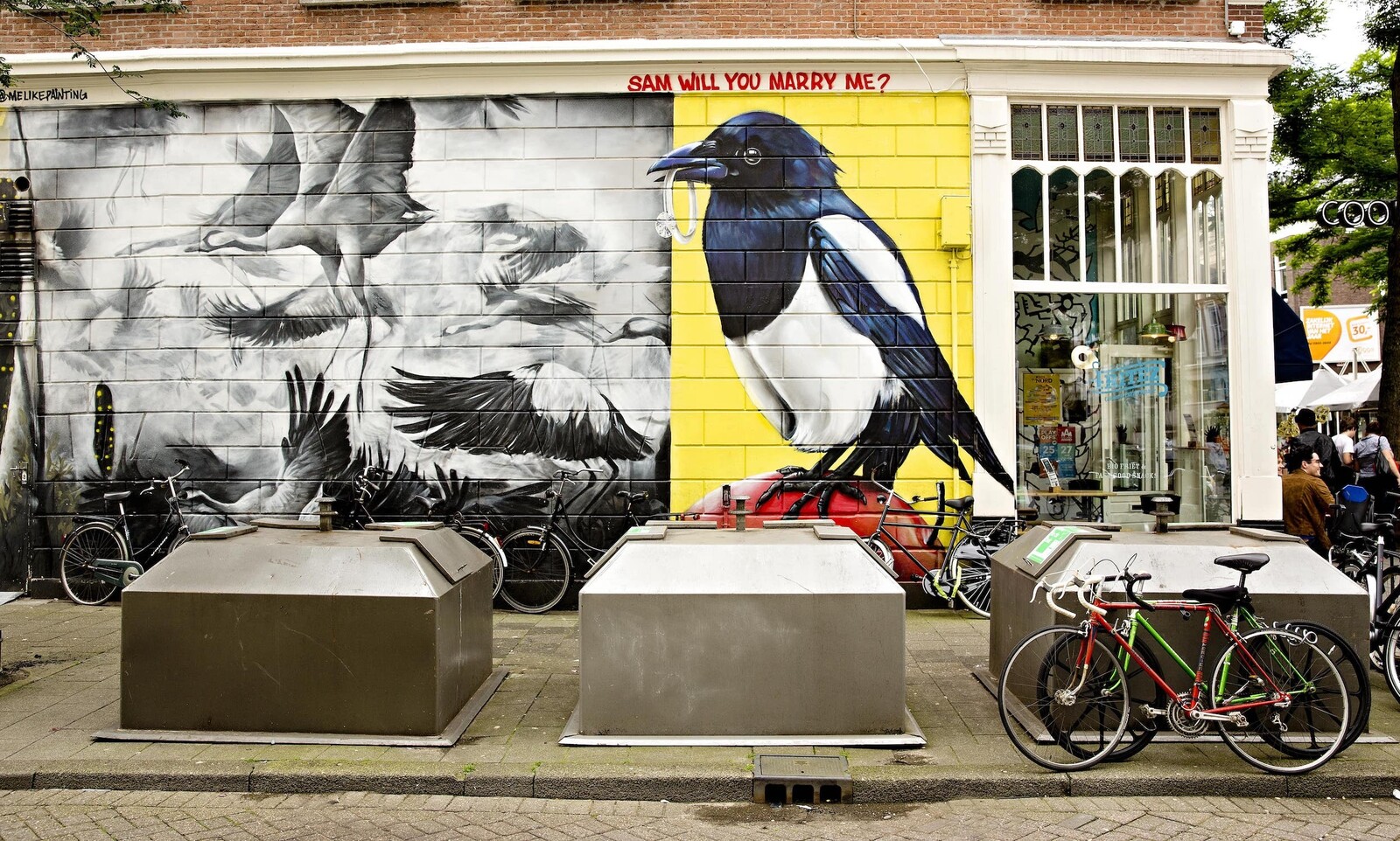 Iris van den Broek love birds