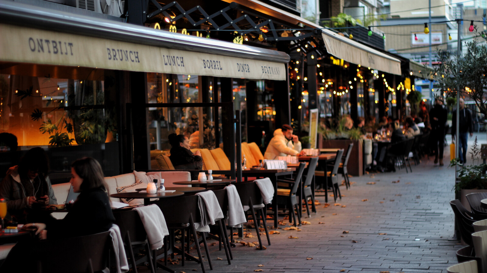 Bertmans terras Rotterdam