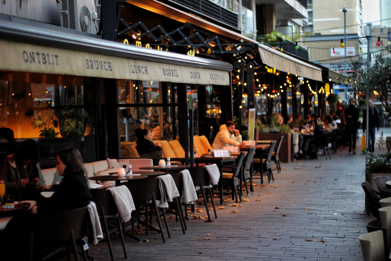 Bertmans terras Rotterdam