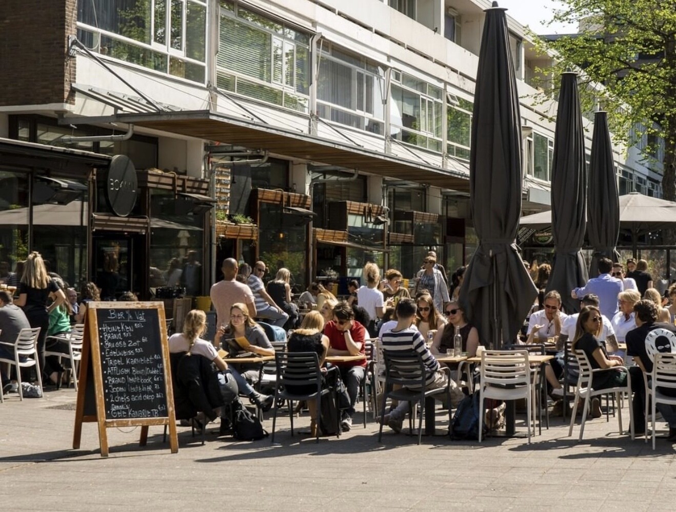 Follow King's Day 2023 in Rotterdam via NOS