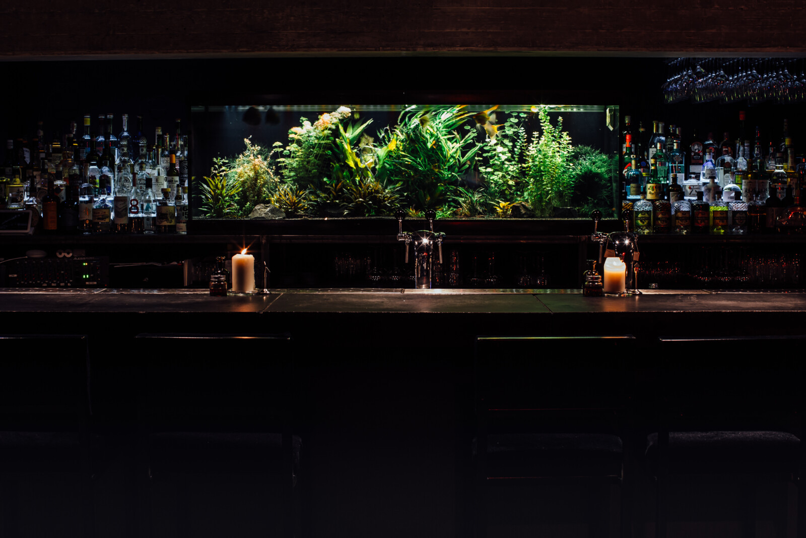 OX restaurant Rotterdam bar