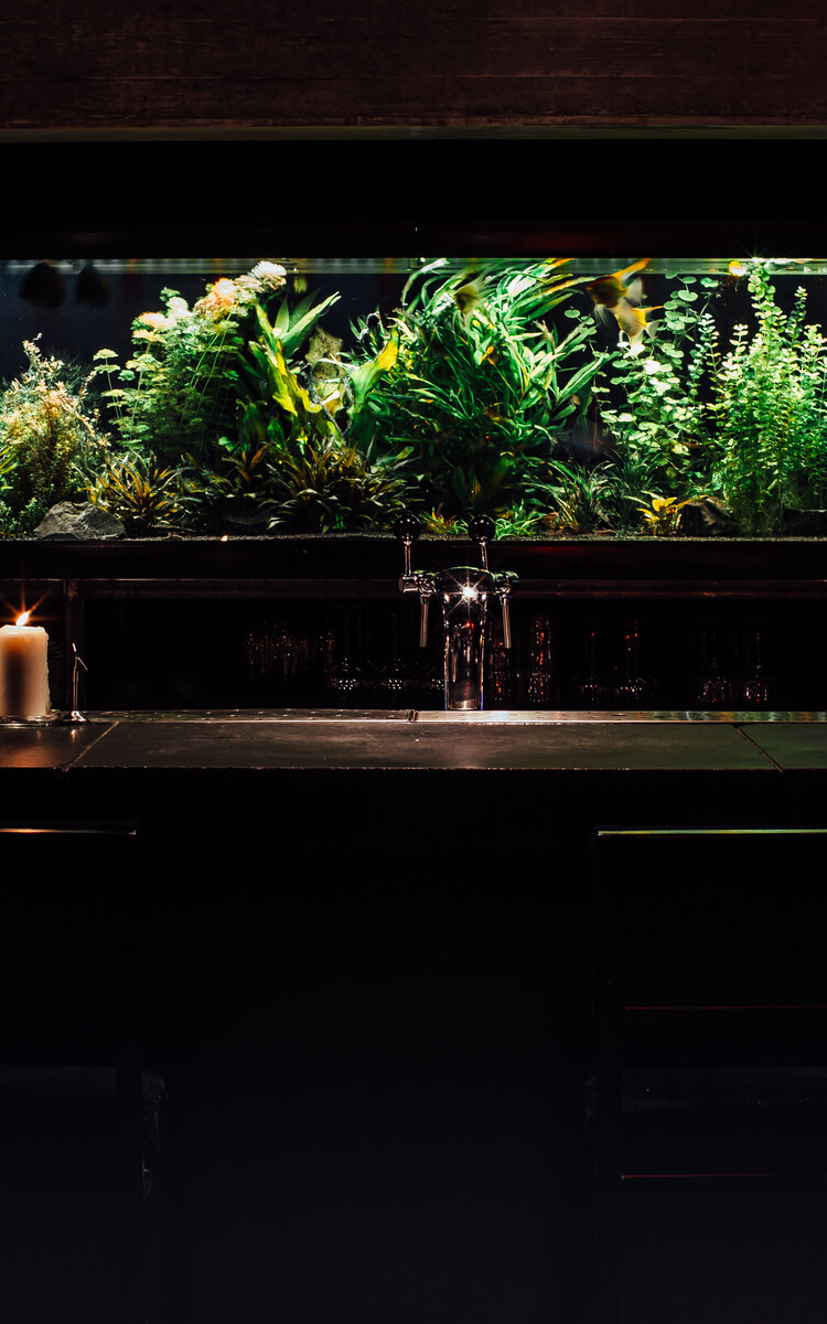 OX restaurant Rotterdam bar