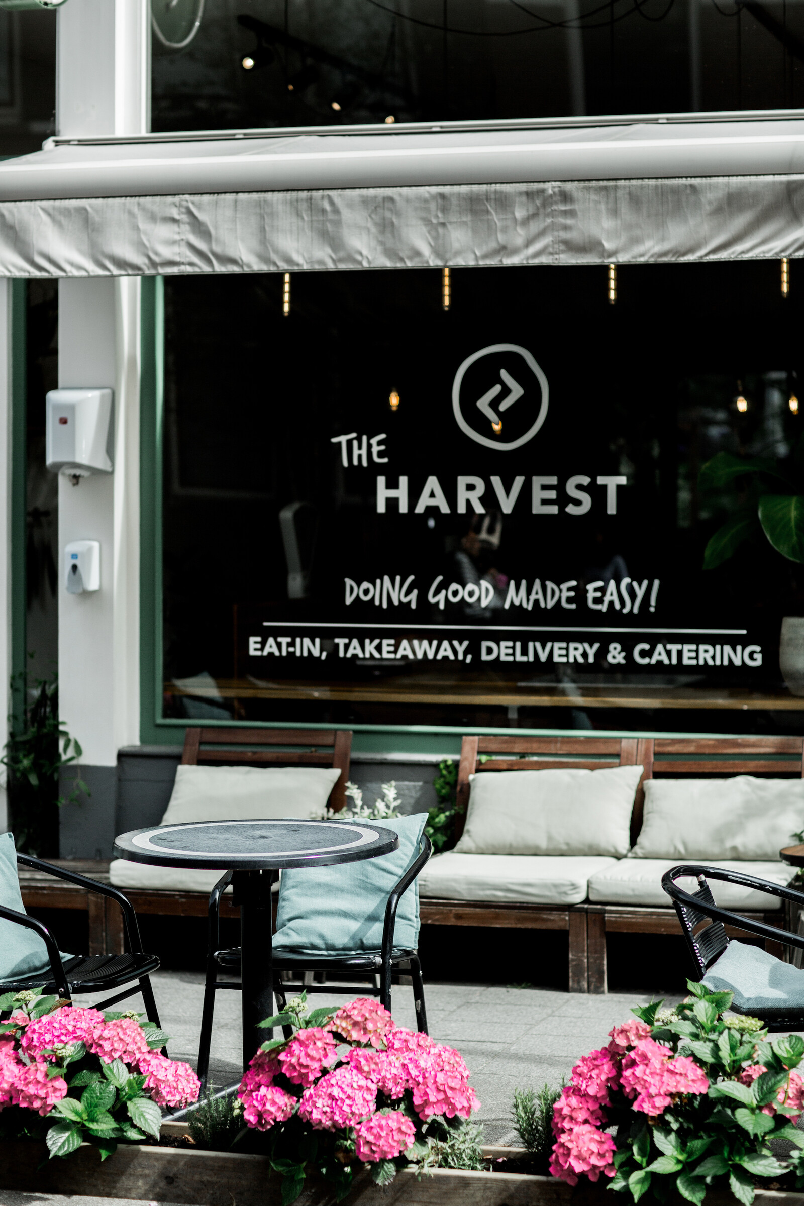 The Harvest etalage Rotterdam Centraal