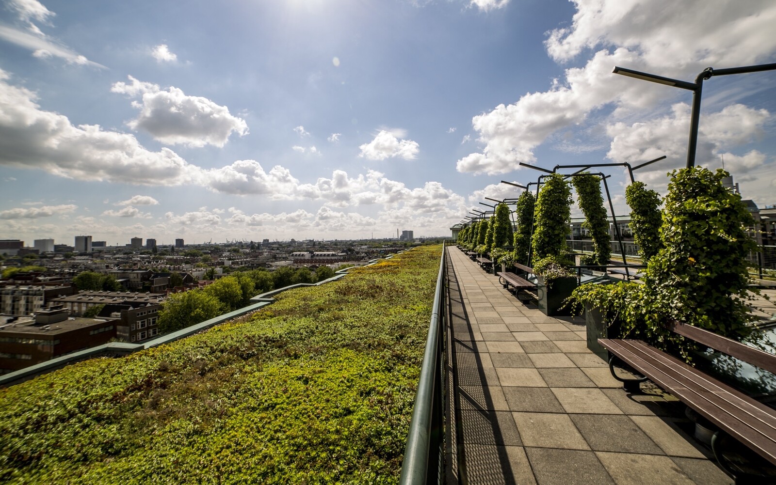 Great rooftop bars in Rotterdam Centre RotterdamCentrum