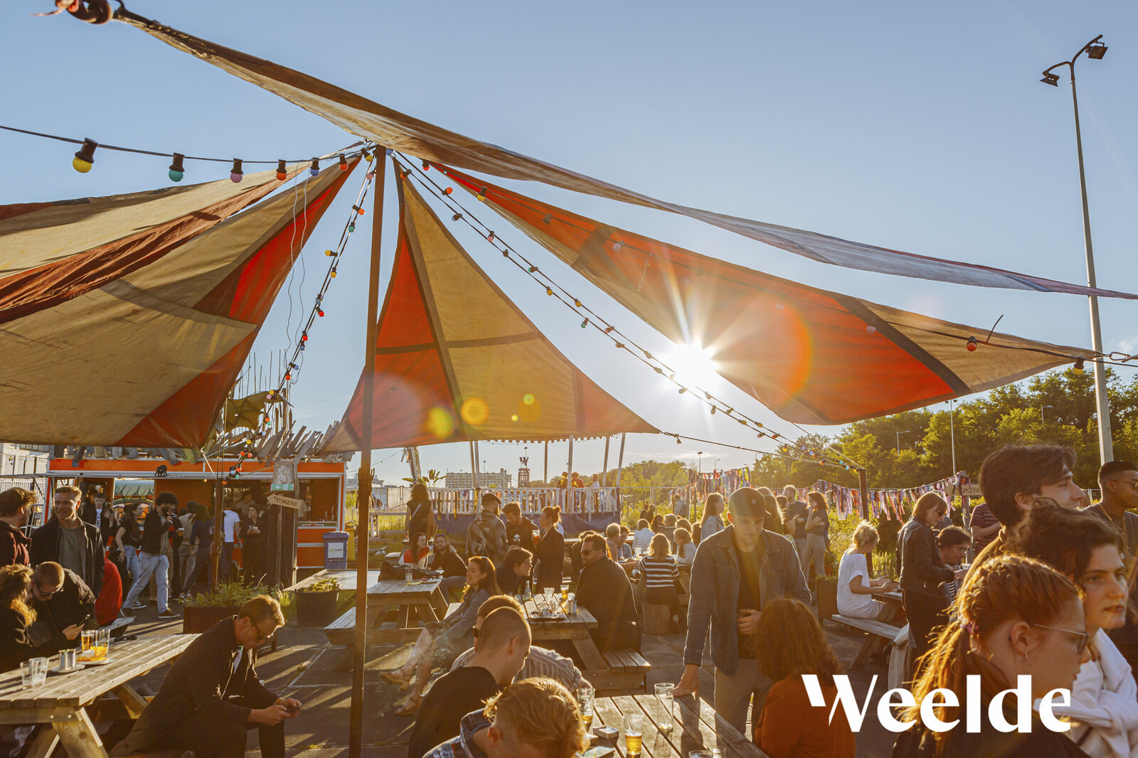 Weelde zonneschijn JEROEN ROEST 3