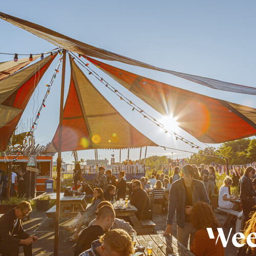Weelde zonneschijn JEROEN ROEST 3