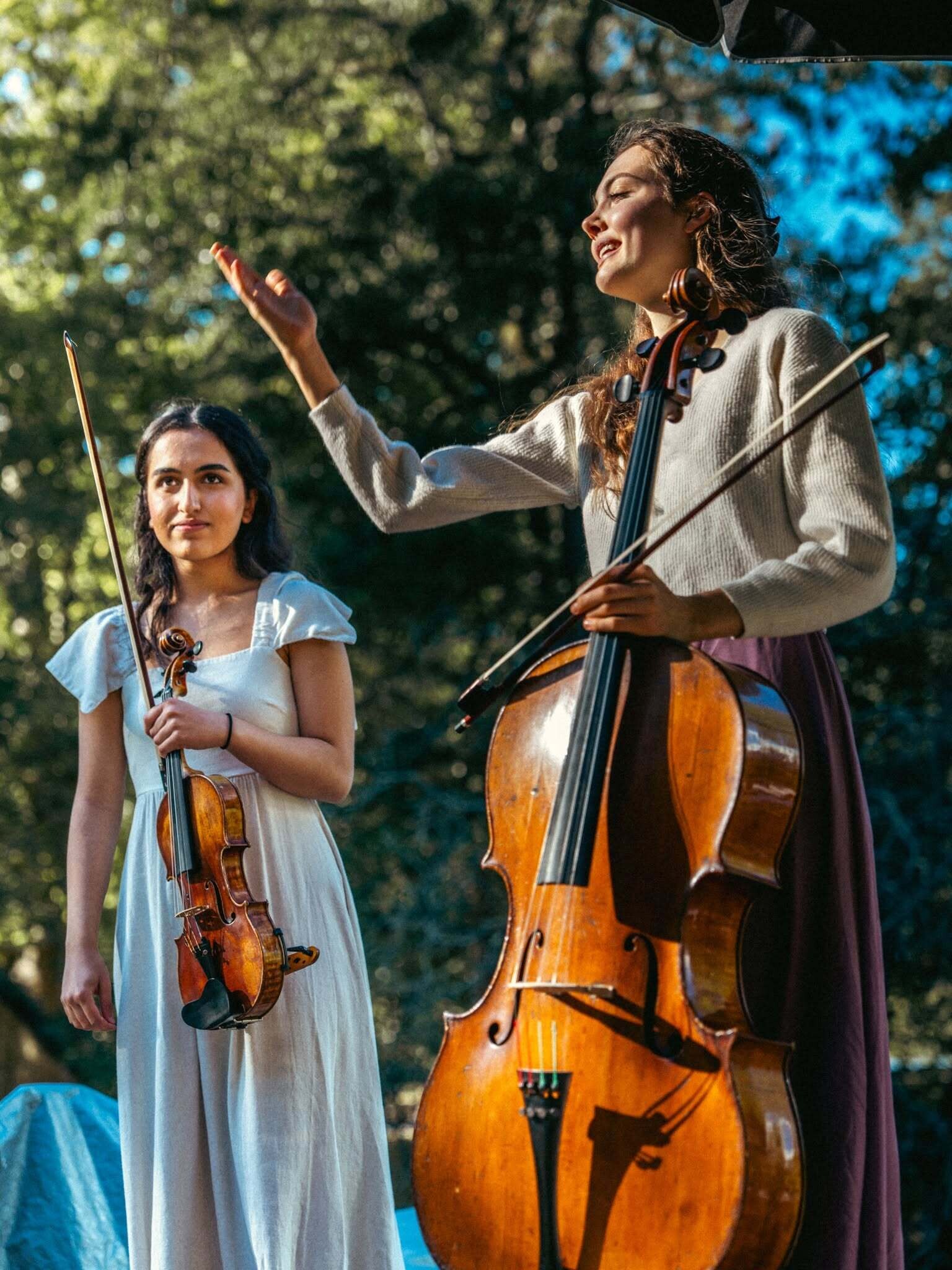 Klassiekinhet Park cello viool