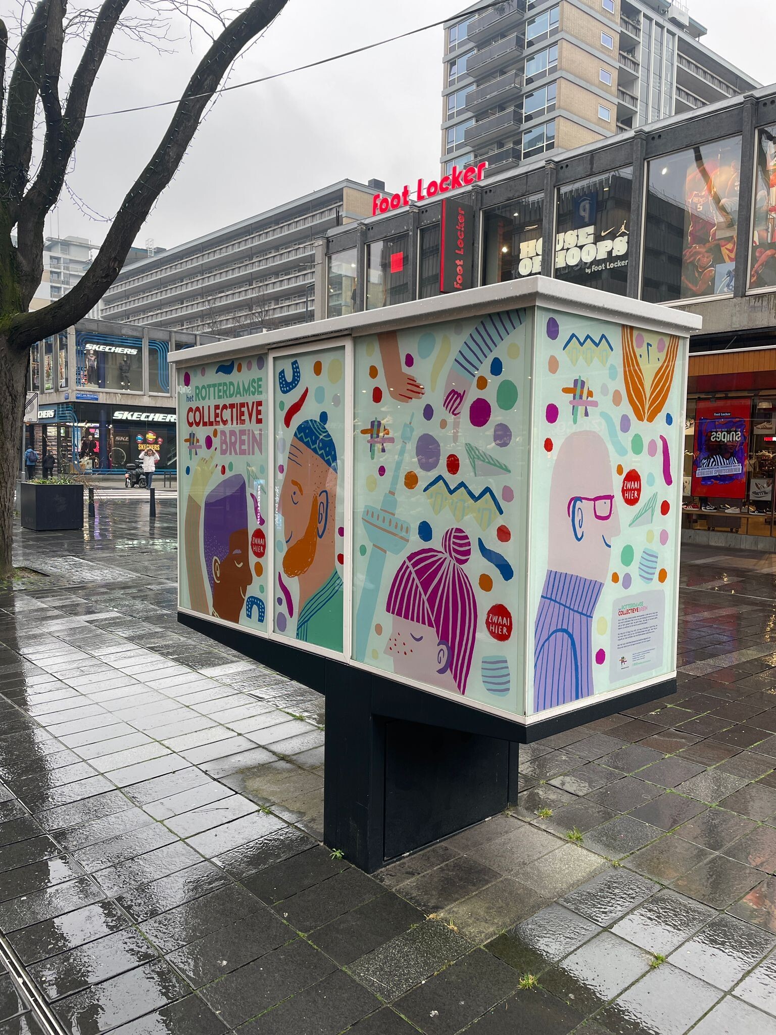 Het collectieve brein vitrine 2