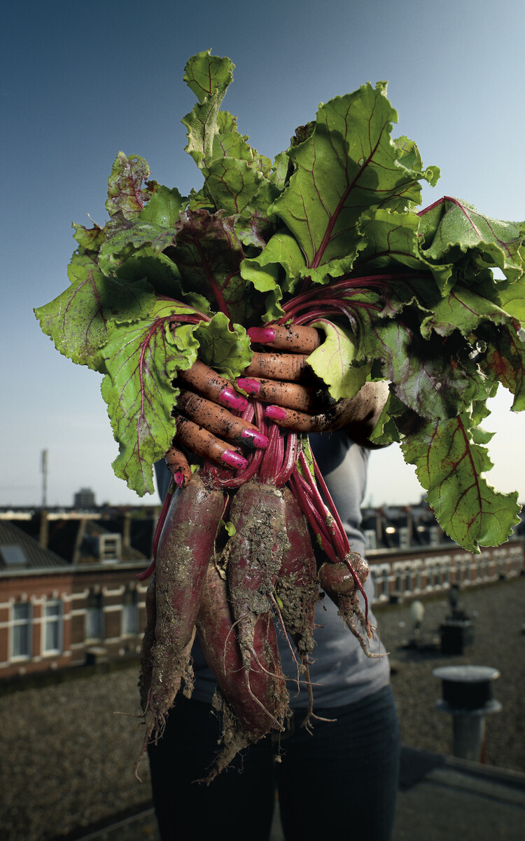Rotterdamse oogst Rode bieten Pim Vuik