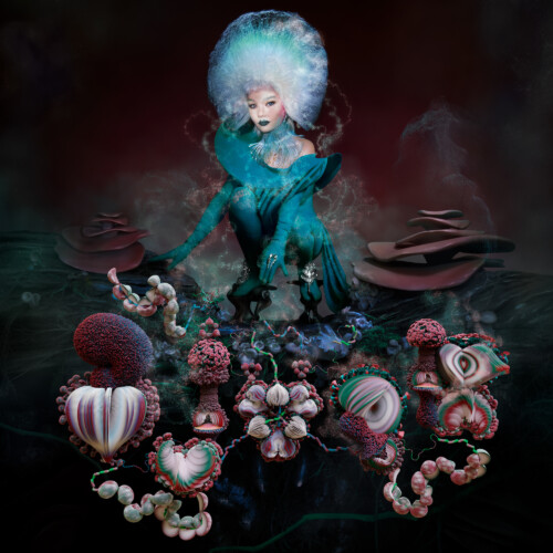 1 Bjork Diva Kunsthal Rotterdam