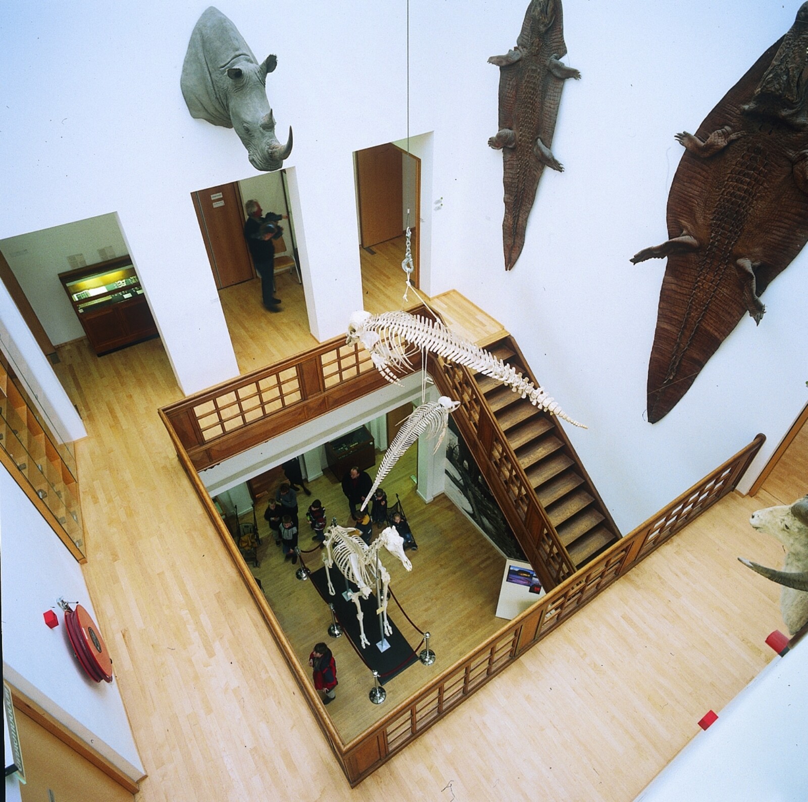 Natuurhistorisch museum binnen 2005