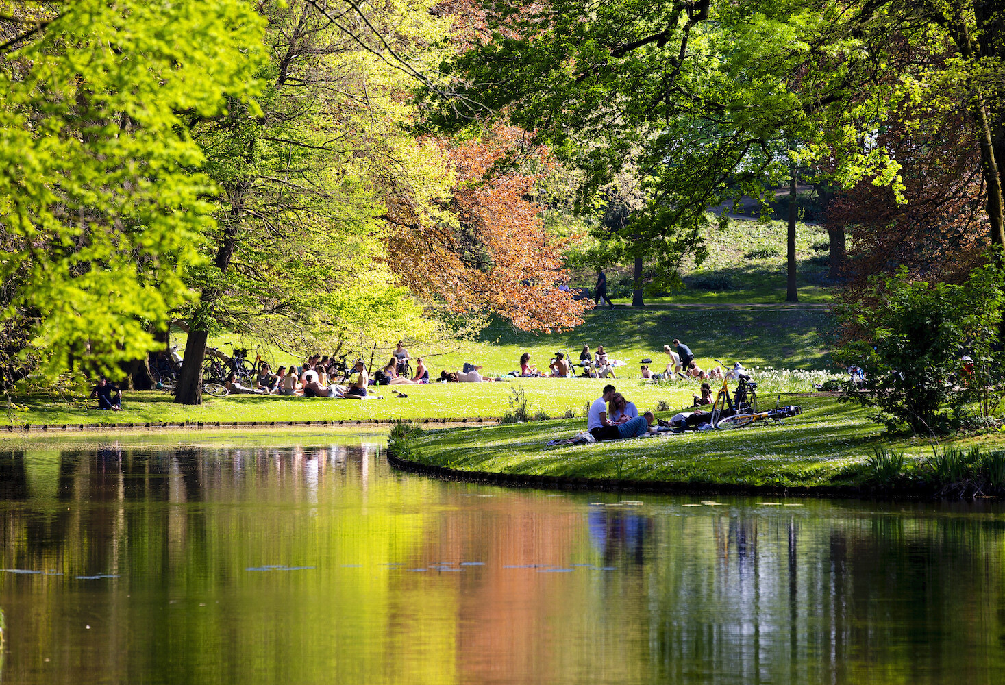 Het Park Rotterdam Iris van den Broek