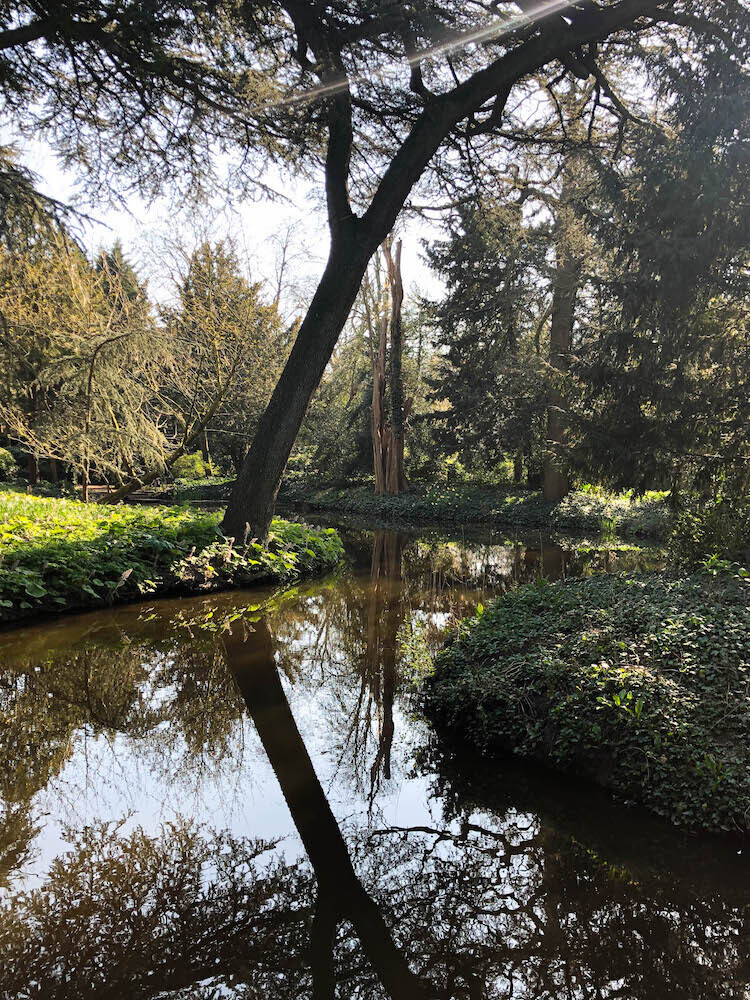 Historische tuin Schoonoord Rotterdam