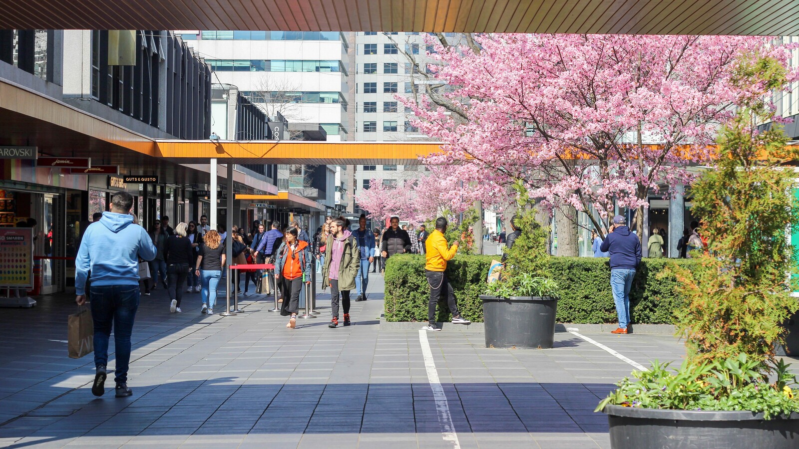 Lente op de Lijnbaan Rotterdam