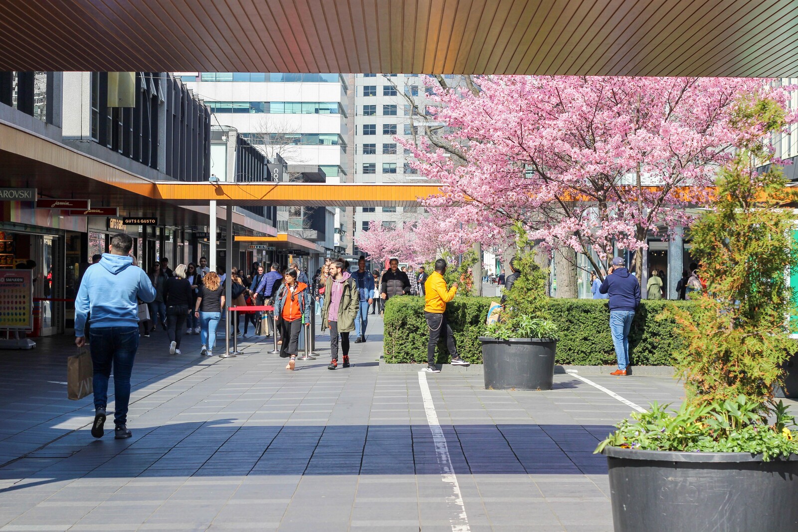 Lente op de Lijnbaan Rotterdam