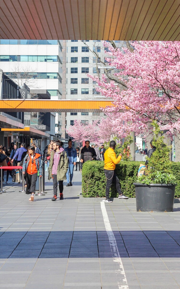 Lente op de Lijnbaan Rotterdam
