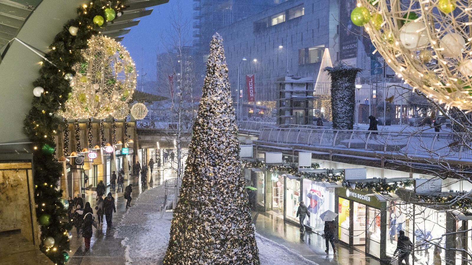 Koopgoot kerstverlichting Guido Pijper