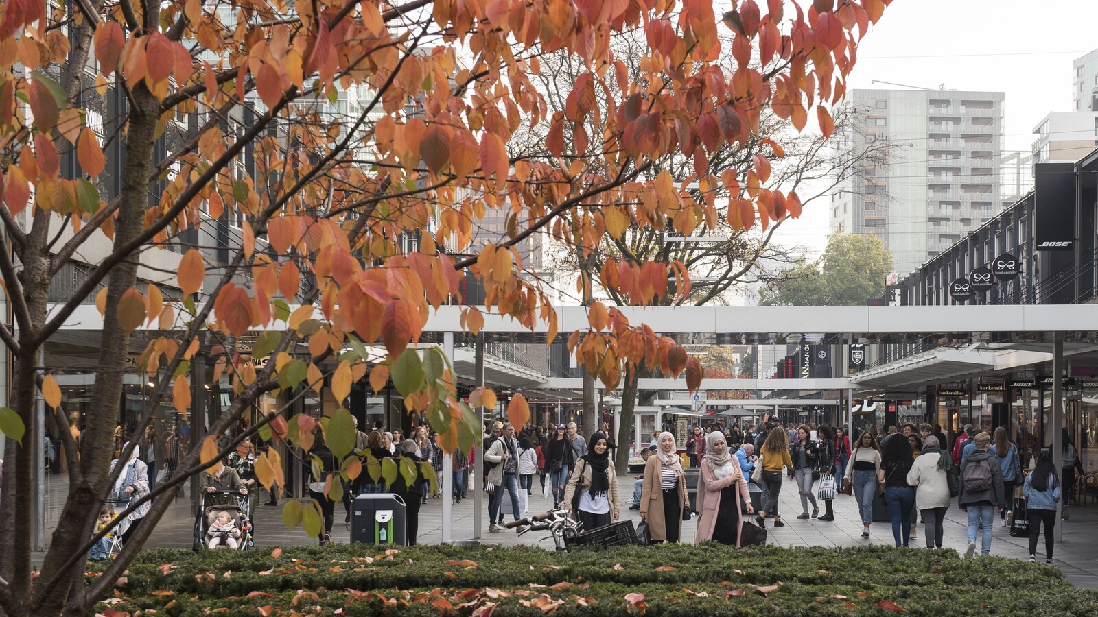 Lijnbaan Herfst Timo van den Berg